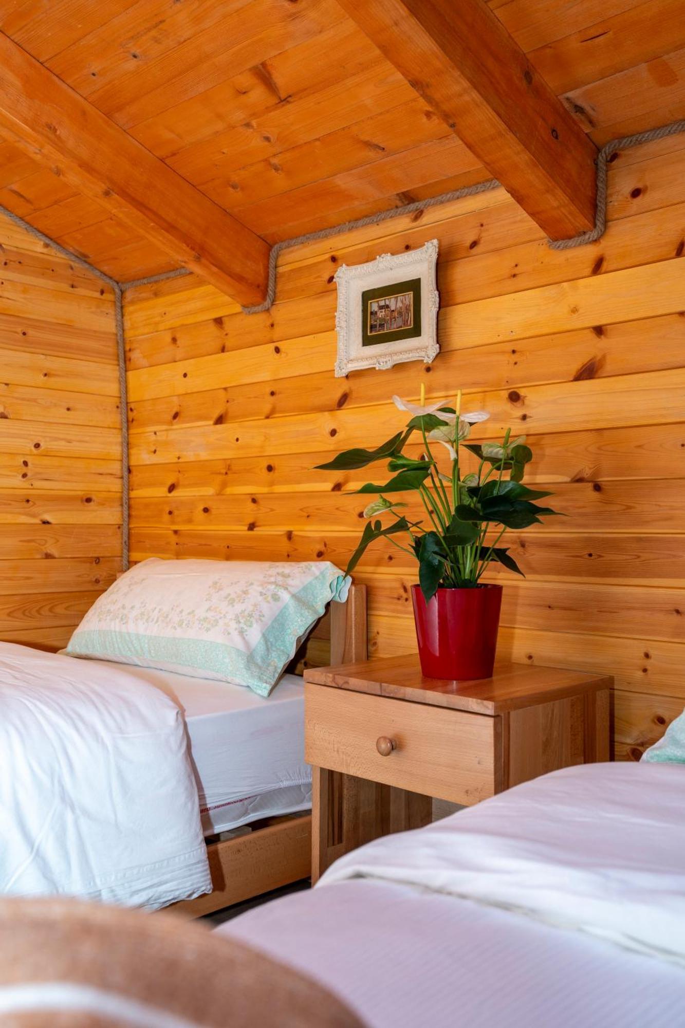 Bee Eco Guest House Moll' e Shoshit Екстер'єр фото